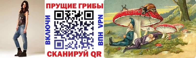 Псилоцибиновые грибы Psilocybe  Дербент 